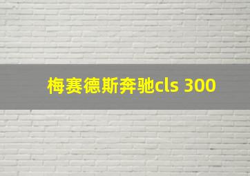 梅赛德斯奔驰cls 300